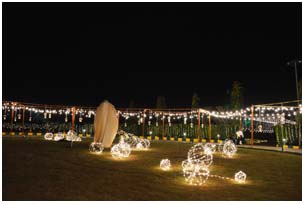 theme garden_lighting decoration