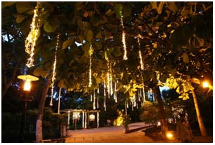 theme garden_lighting decoration