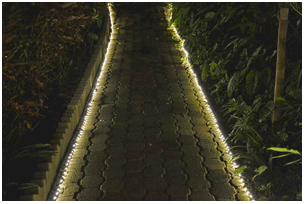 theme pathway decoration