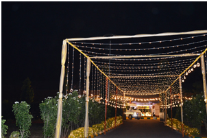 theme pathway decoration