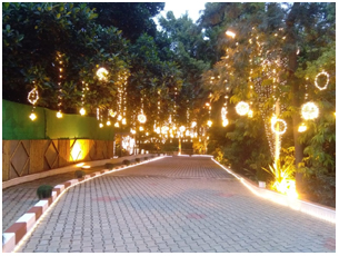 theme pathway decoration