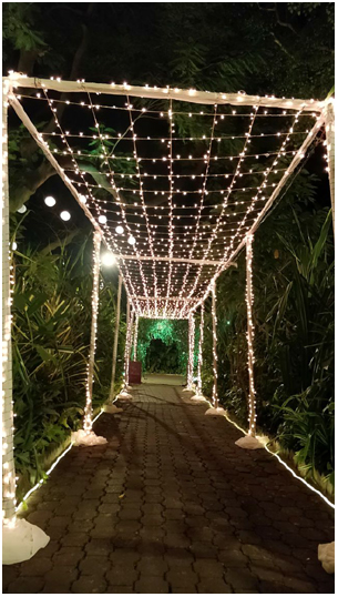 theme pathway decoration