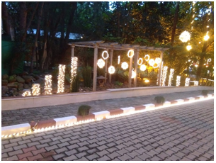 theme pathway decoration