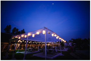 lucky light decorations