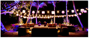 lucky light decorations