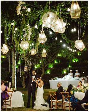 lucky light decorations