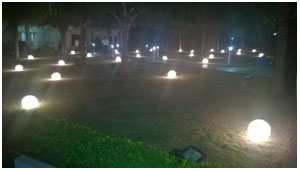 lucky light decorations