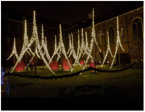 lucky light decorations