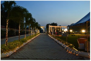 lucky light decorations