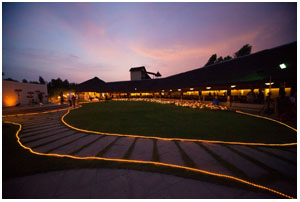 lucky light decorations