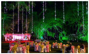 theme garden light decoration