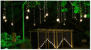 lucky light decorations