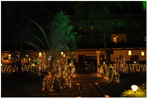 lucky light decorations