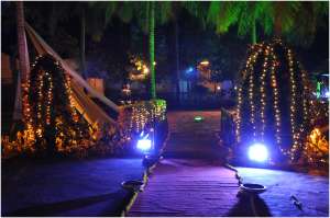 Outdoor Light Decoration