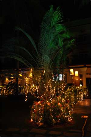 Outdoor Light Decoration