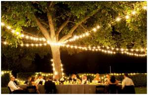 Outdoor Light Decoration