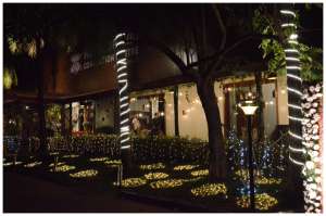 Outdoor Light Decoration