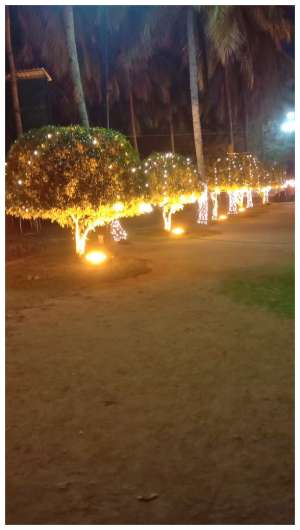 Outdoor Light Decoration