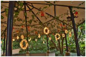 Outdoor Light Decoration