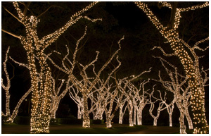 theme tree light decoration